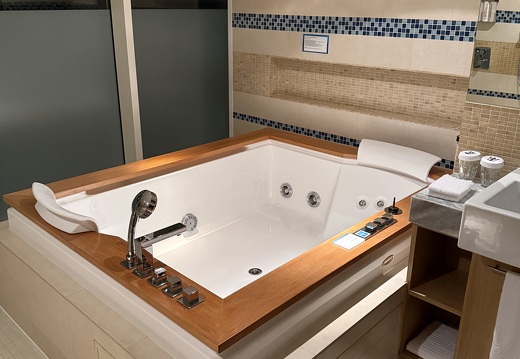 Master Bathroom - Jacuzzi Tub